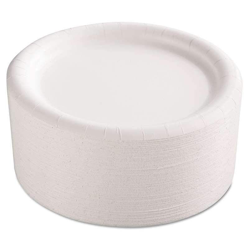 AJM Packaging Corporation Premium Coated Paper Plates, 9