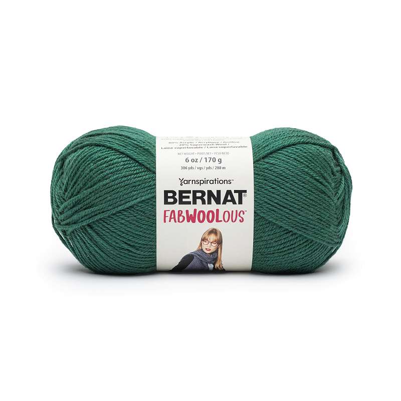 Bernat Fabwoolous Yarn-Pine