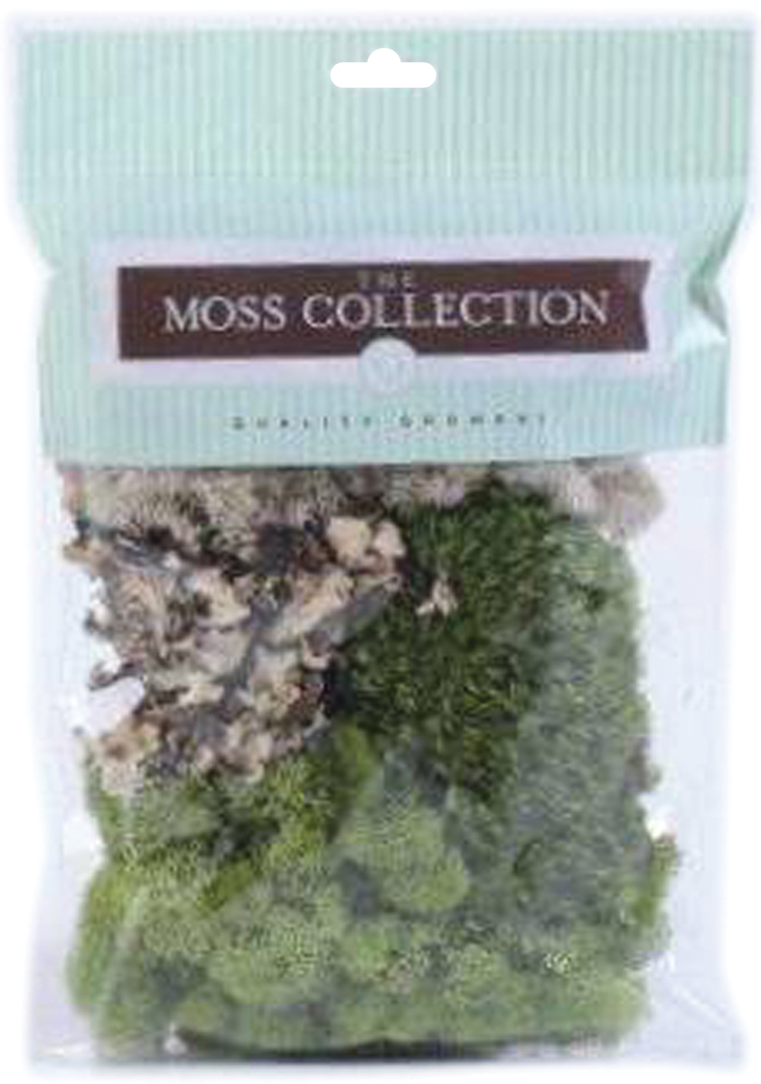Variety Pack Moss 108.5 Cubic Inches