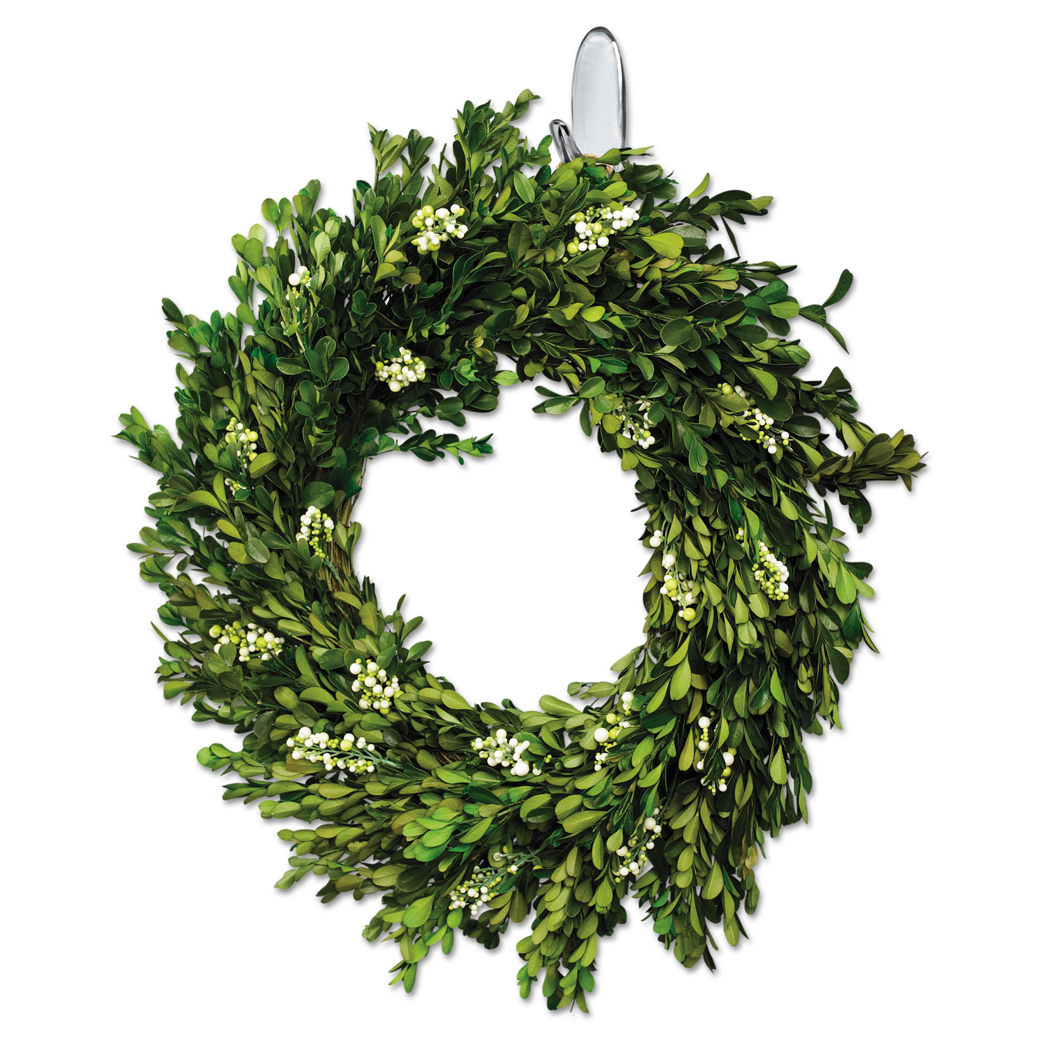 Command Medium Hooks Clear 2 Hooks & 4 Strips