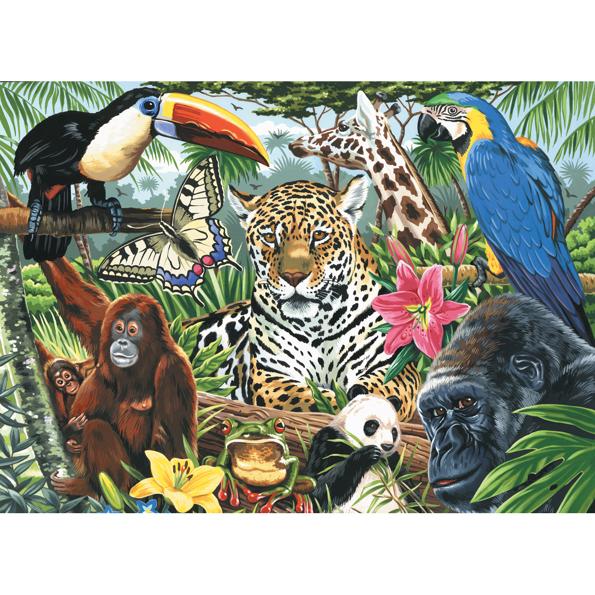 Paint By Number Kit Artist Canvas Series 11