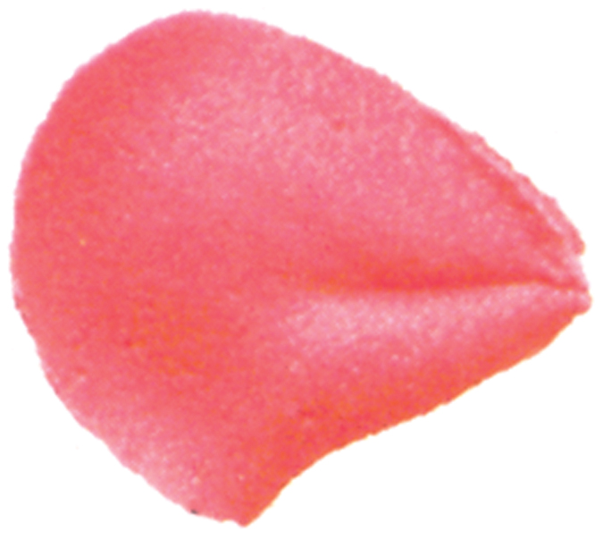 Decorating Tip #104 Petal