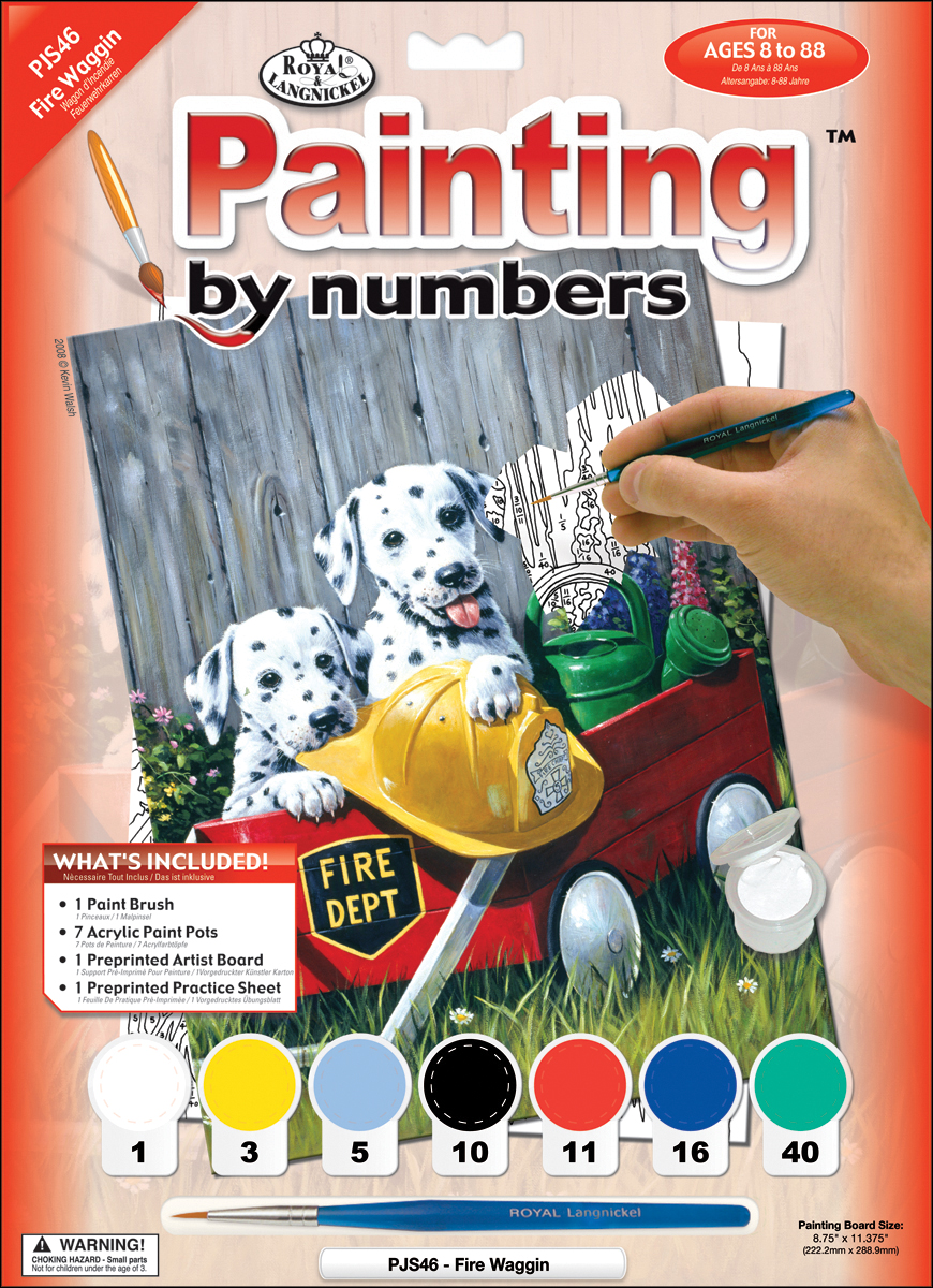 Junior Small Paint By Number Kit 8.75