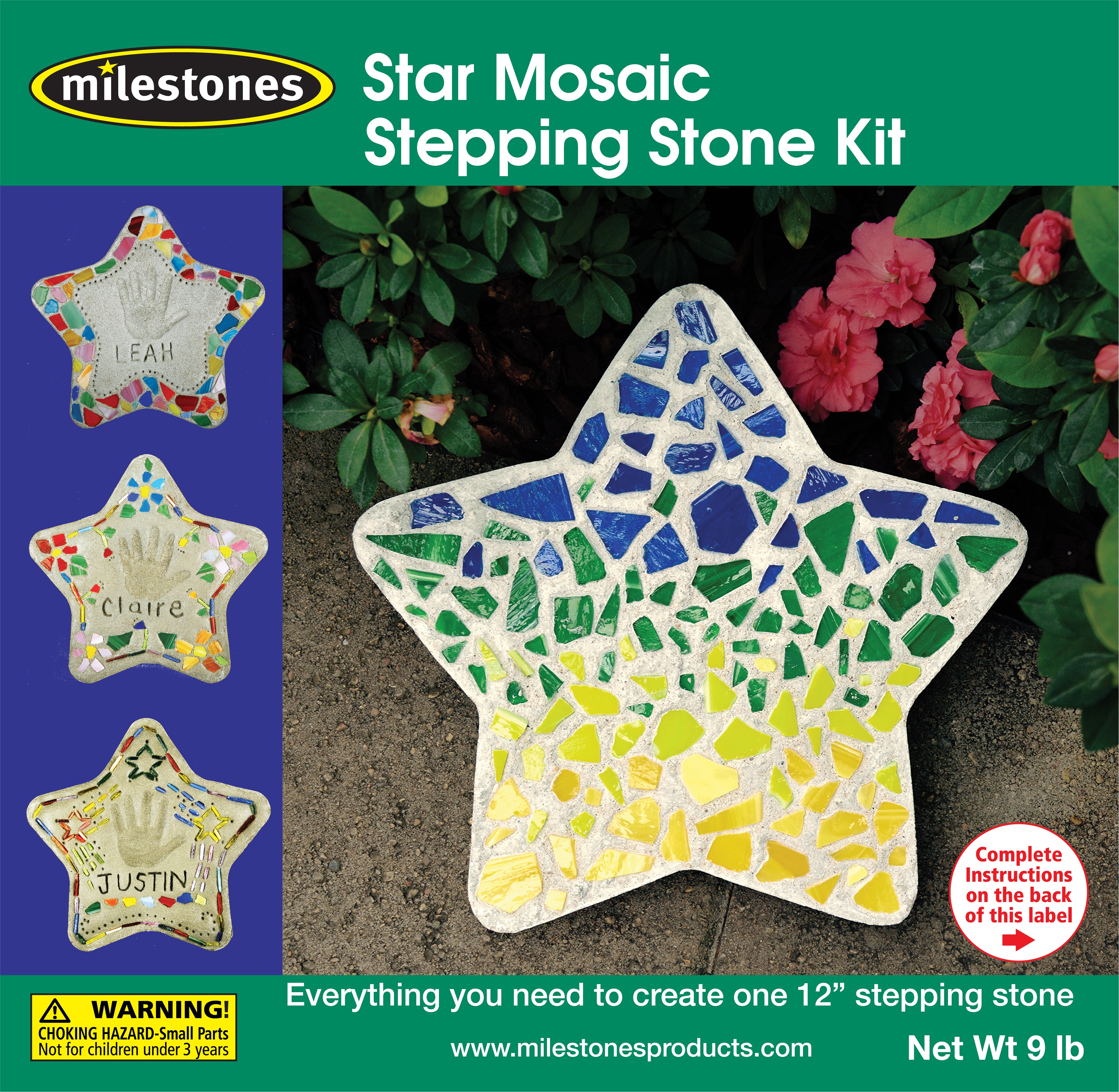 Mosaic Stepping Stone Kit Star