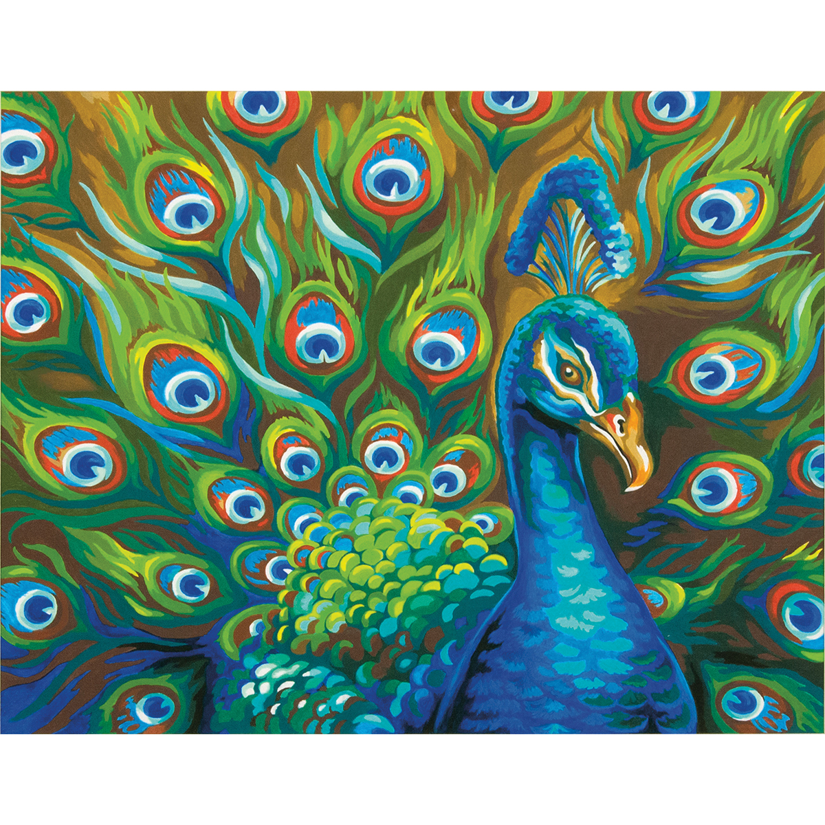 Wild Feathers (Peacock) Paint by Number (14