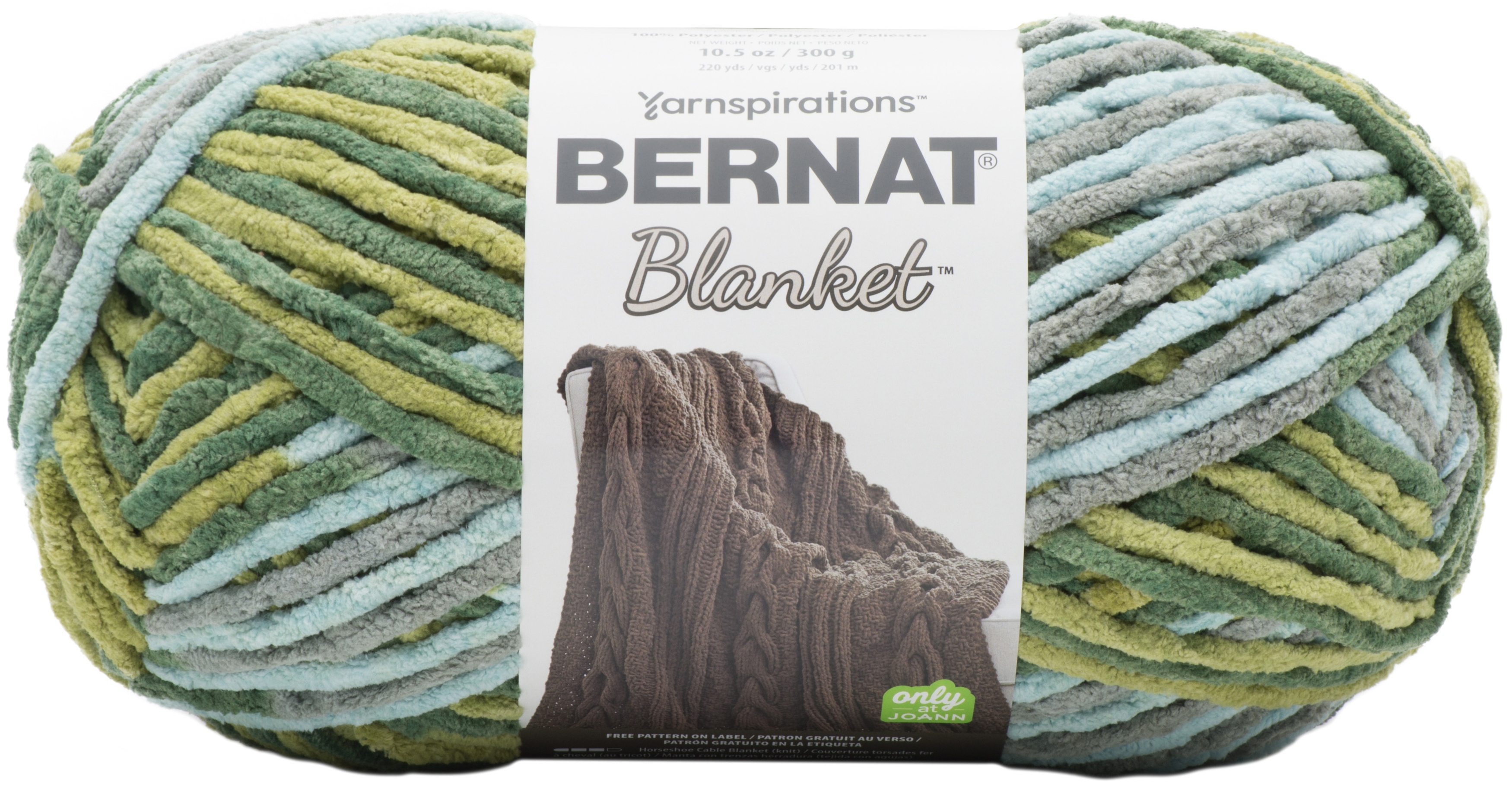 Bernat Blanket Big Ball Yarn Forest Sage