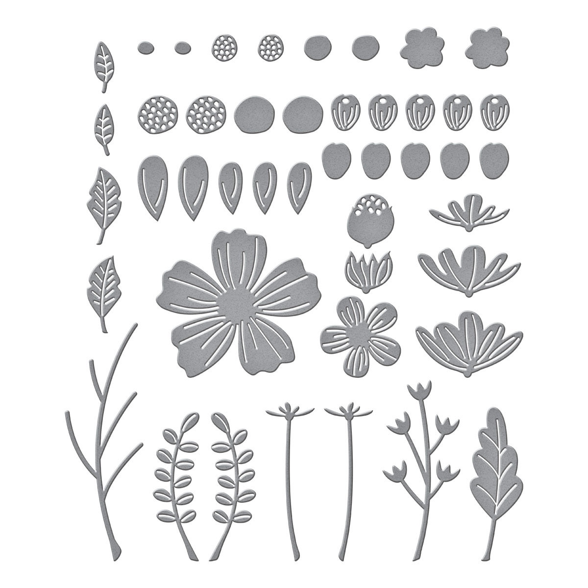 Spellbinders Etched Dies-Be Bold Blooms