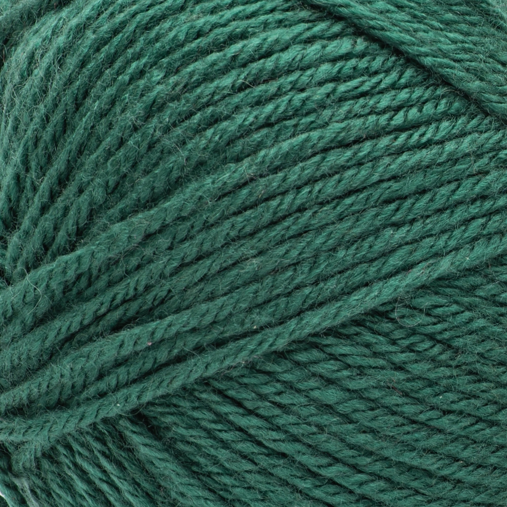 Bernat Fabwoolous Yarn-Pine