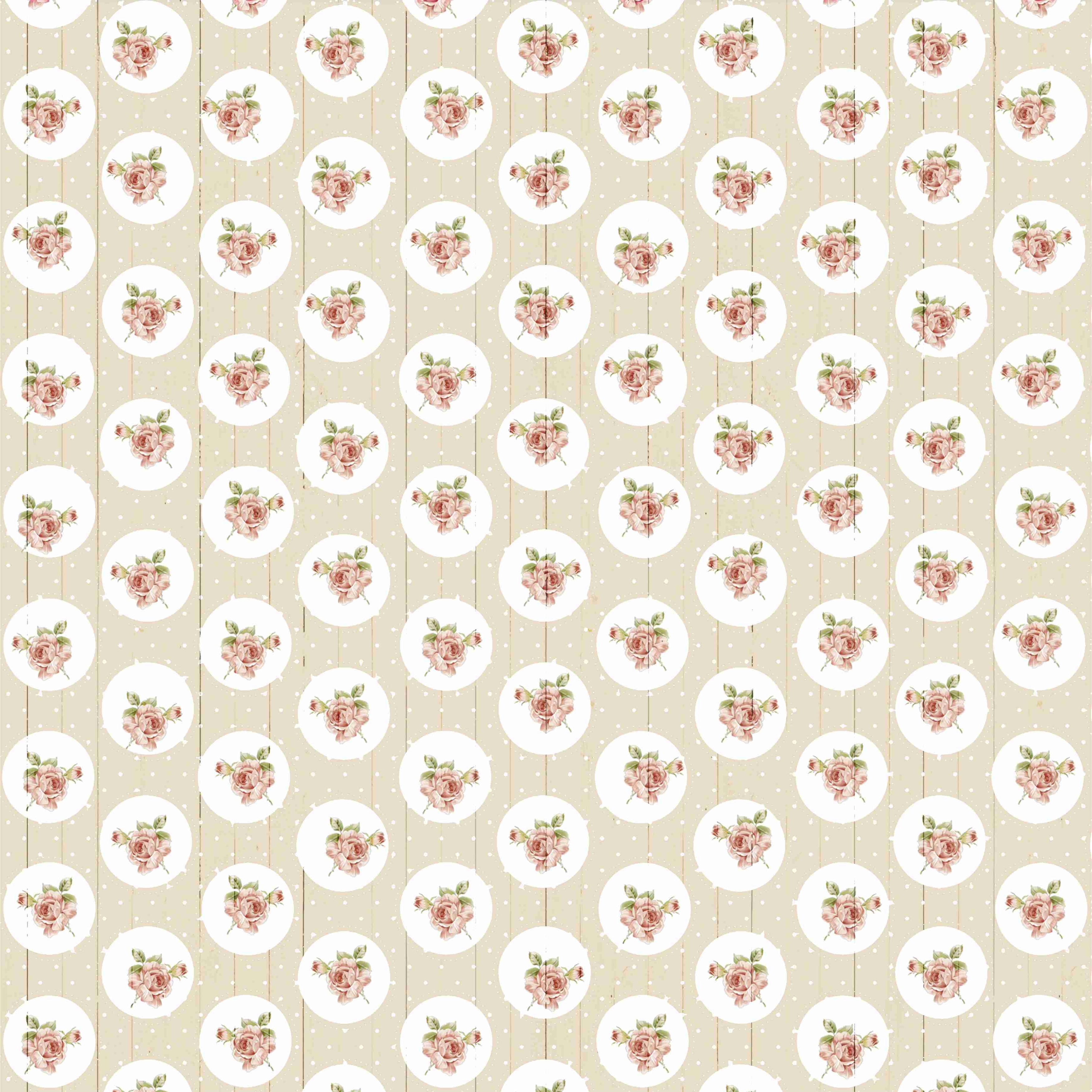 Little Birdie Cardstock Pack 6