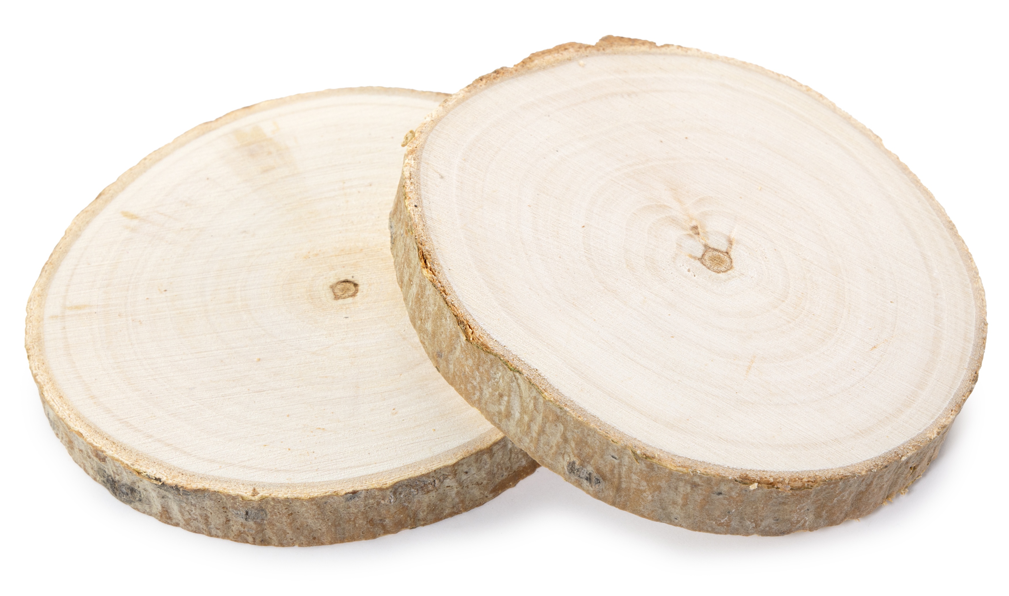 CousinDIY Rustic Wood Rounds 2/Pkg-Natural 4-5