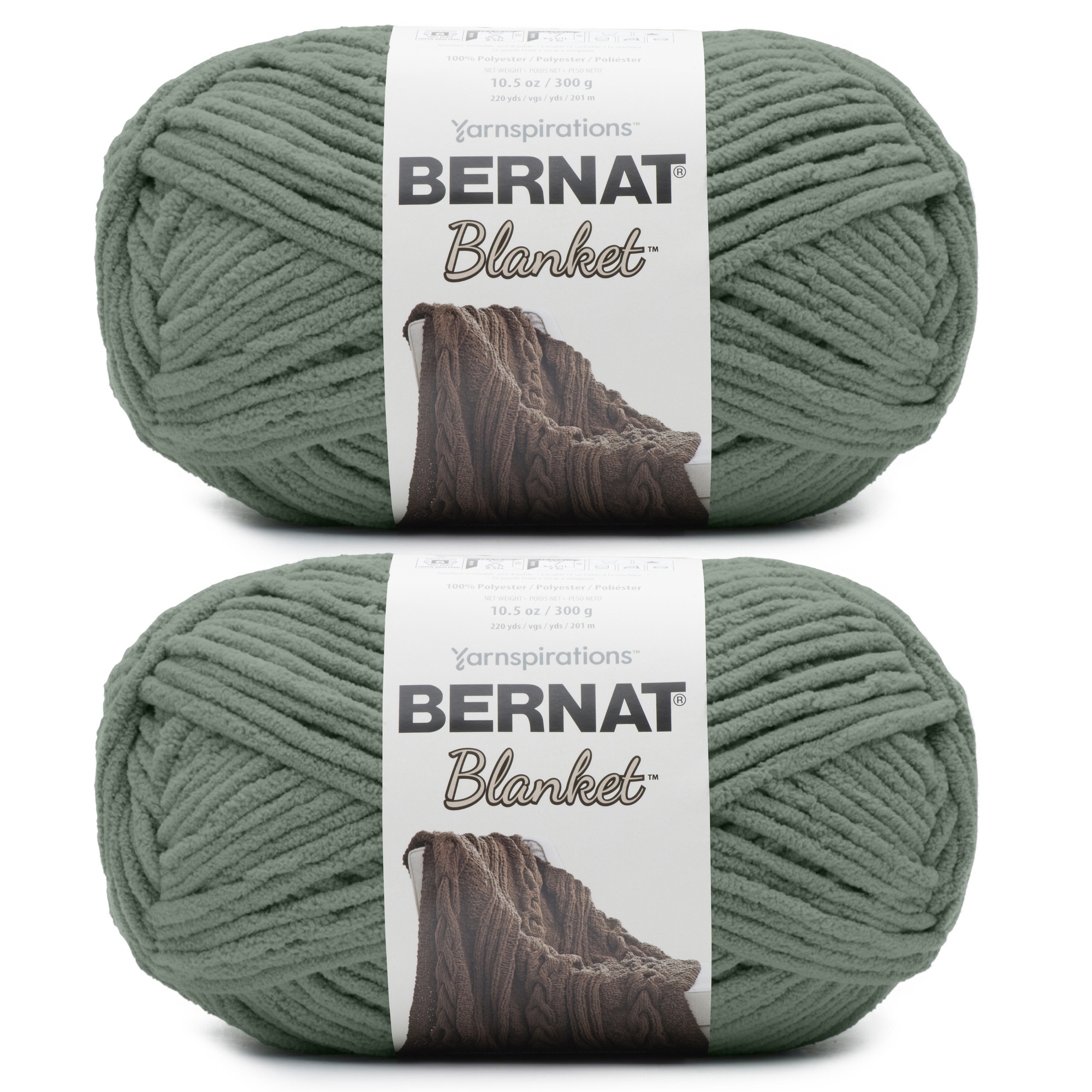 Bernat Blanket Big Ball Yarn-Smoky Green