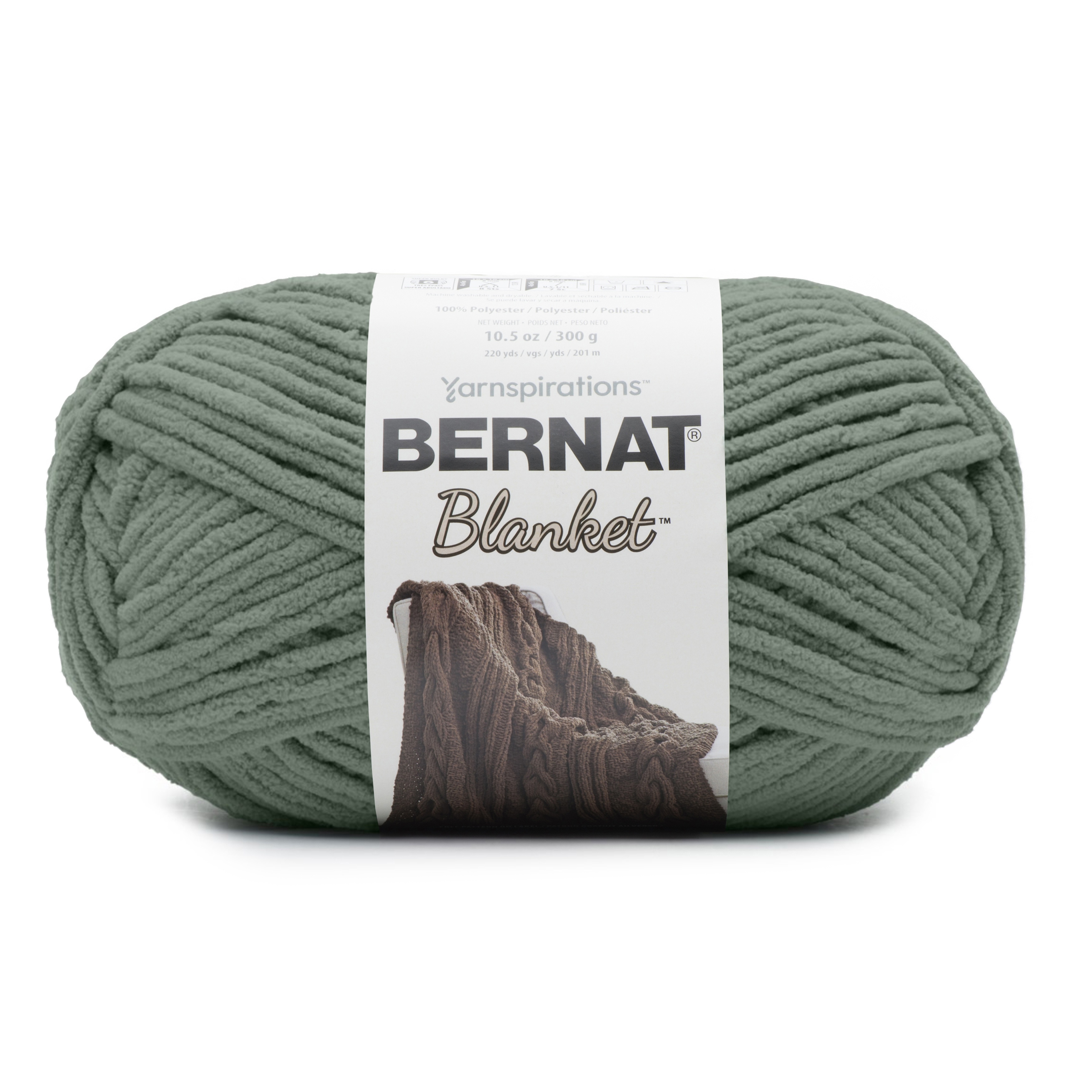 Bernat Blanket Big Ball Yarn-Smoky Green