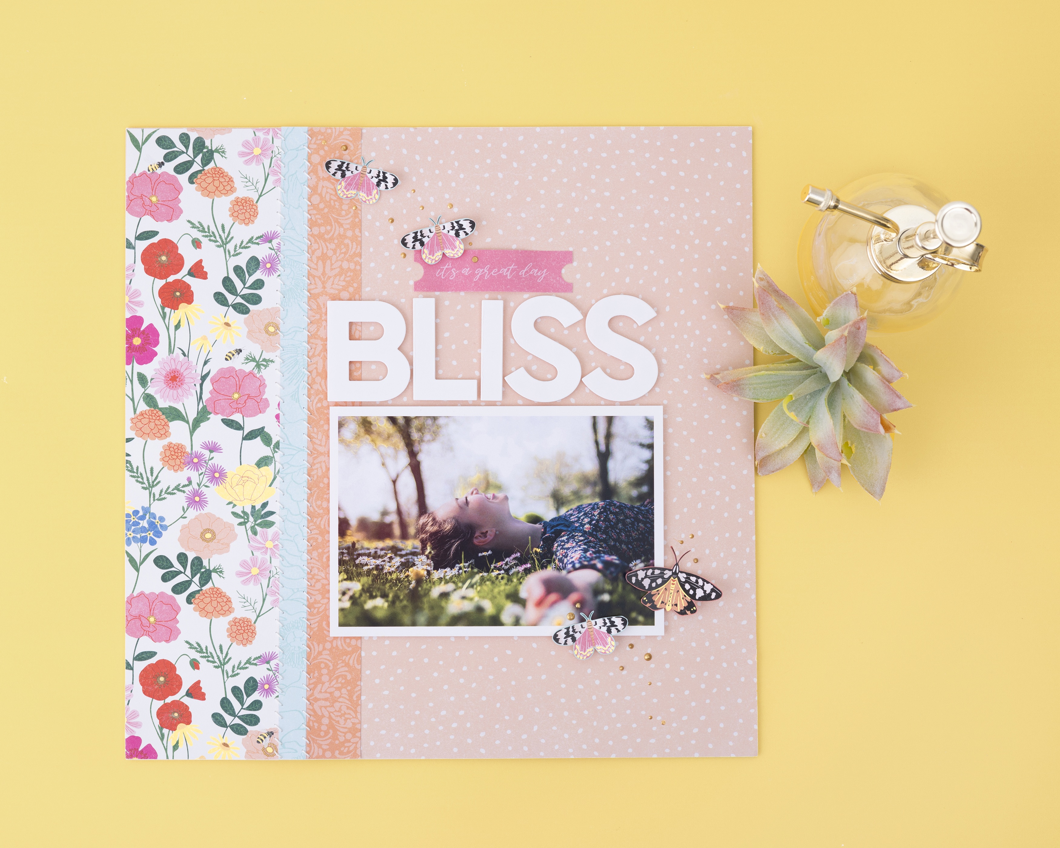 DCWV Premium Paper 12