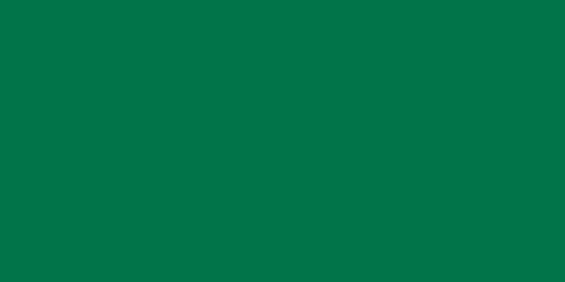 Permanent Fine Point Fabric Marker Green