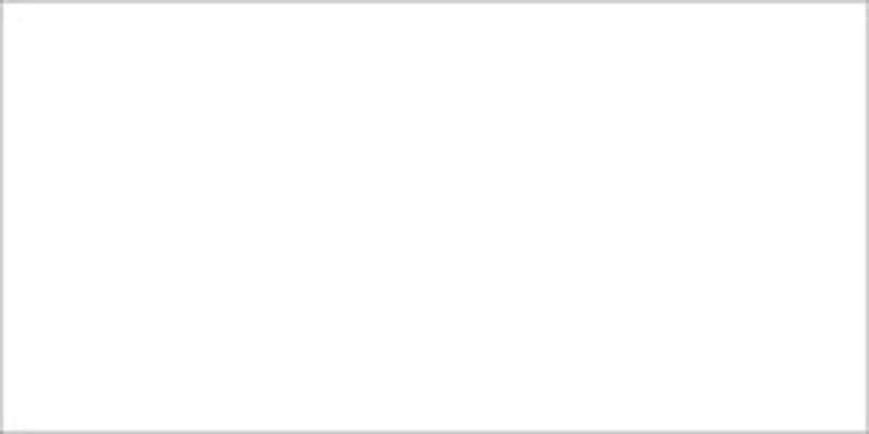 Americana Acrylic Paint 2oz White Wash - Semi-Opaque