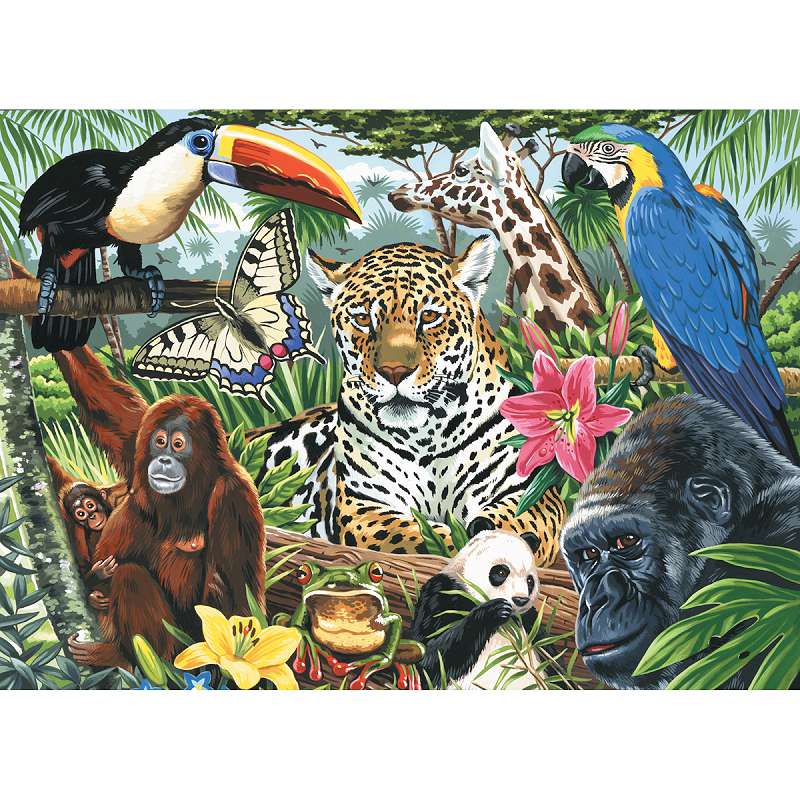 Paint By Number Kit Artist Canvas Series 11
