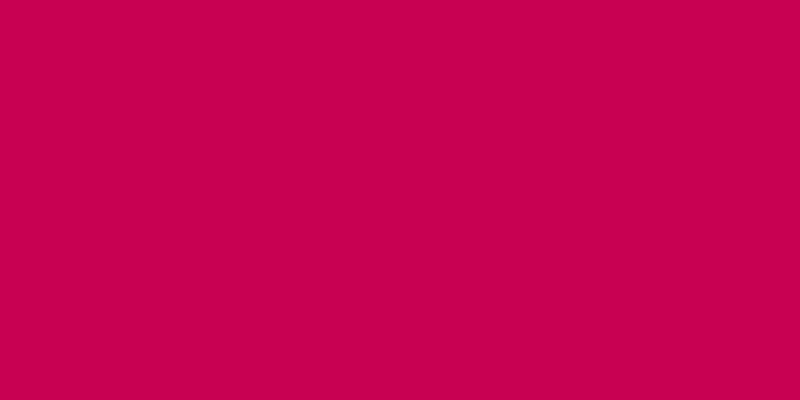 Patio Paint 2oz Tuscan Red