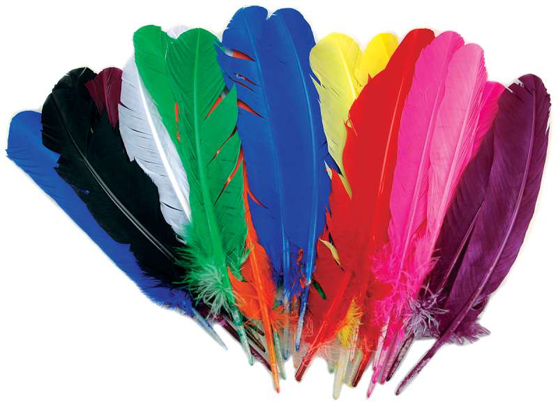 Turkey Quill Feathers 25/Pkg Assorted
