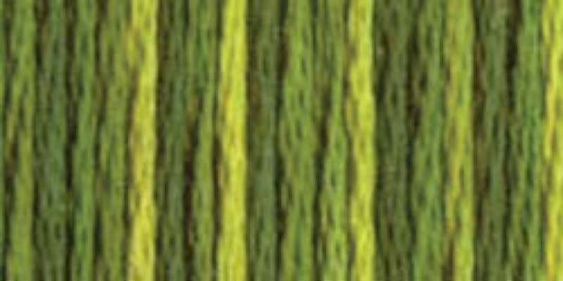 DMC Color Variations 6-Strand Embroidery Floss 8.7yd Amazon Moss