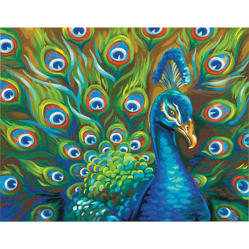 Wild Feathers (Peacock) Paint by Number (14