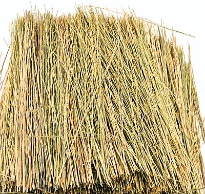 Field Grass Natural Straw